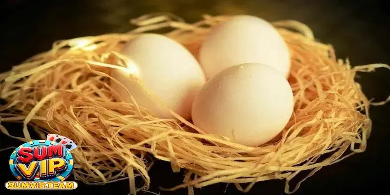 Mơ thấy ăn trứng gà