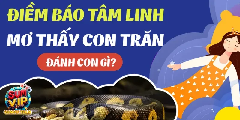 Mơ thấy trăn to hoặc trăn khổng lồ