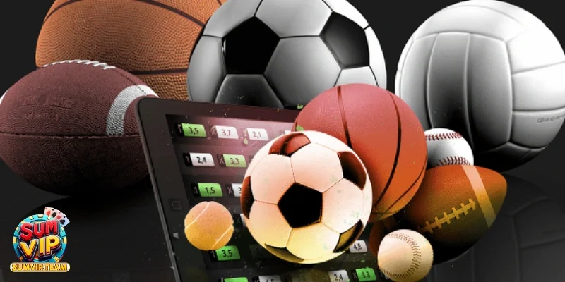 Những môn thể thao phổ biến